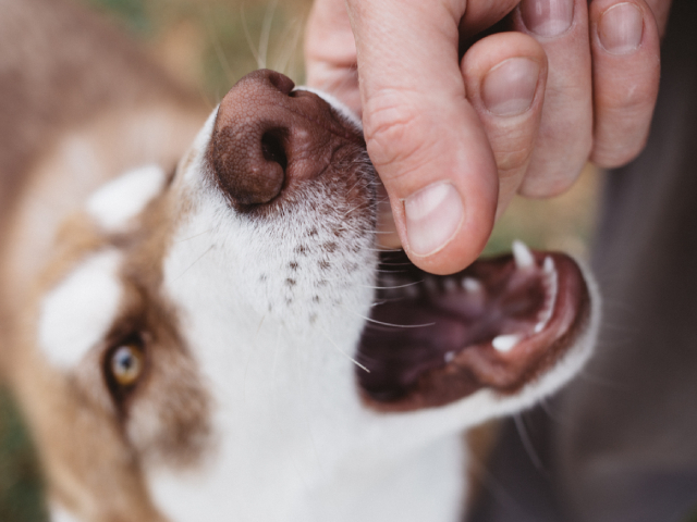 Serious injuries. Lasting scars. Real accountability.